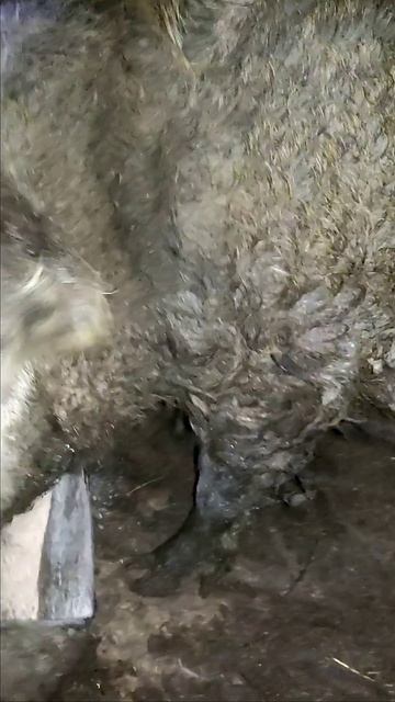 Оставишь мне смотреть онлайн