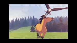 видео для конкурса