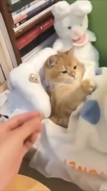 Милота смотреть онлайн