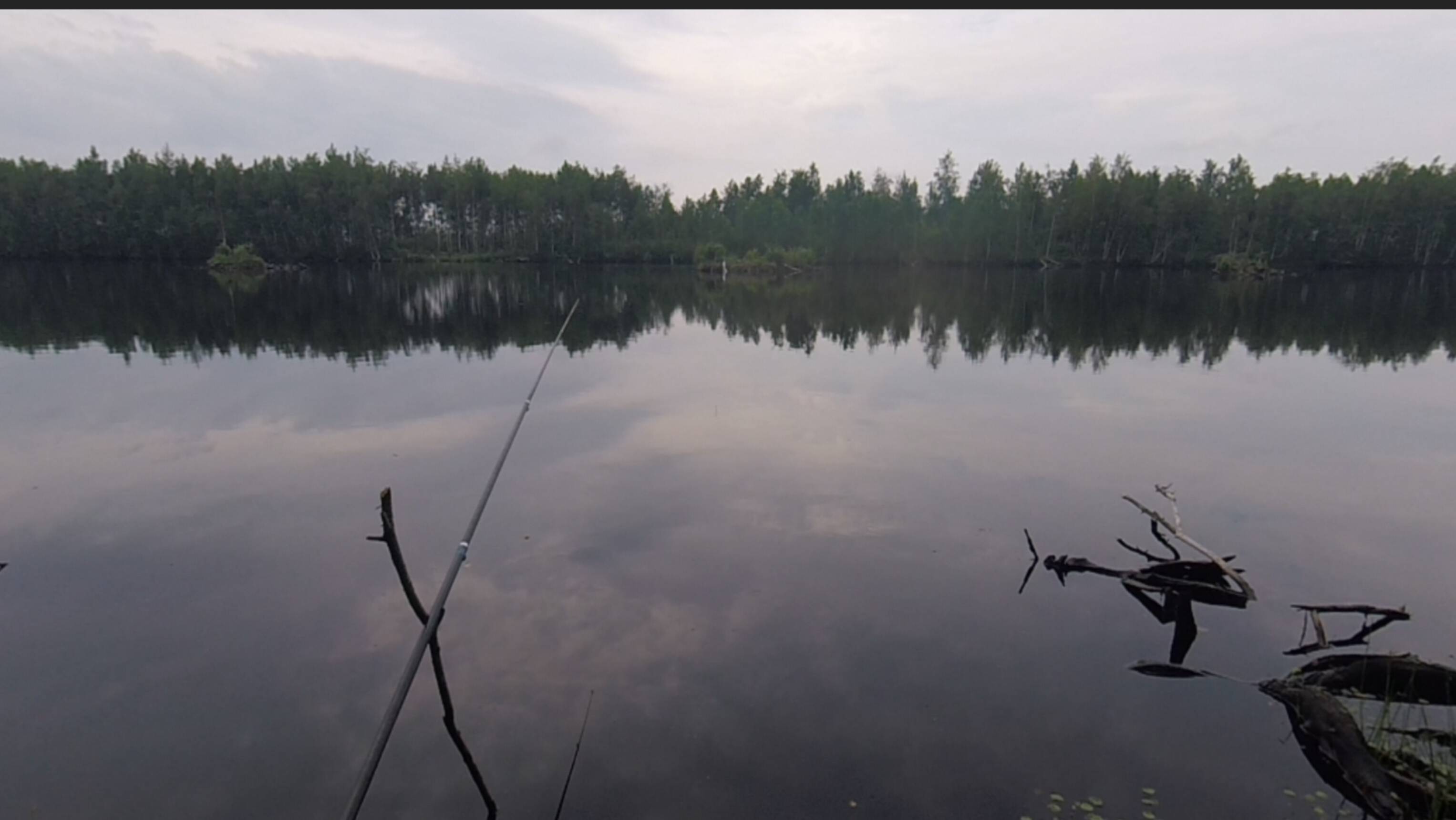 Эх,хвост-чешуя..