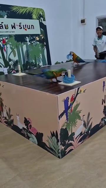 Он не оставил шансов сопернику смотреть онлайн