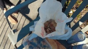 Париж – французская курочка ｜ Евро не принимают!