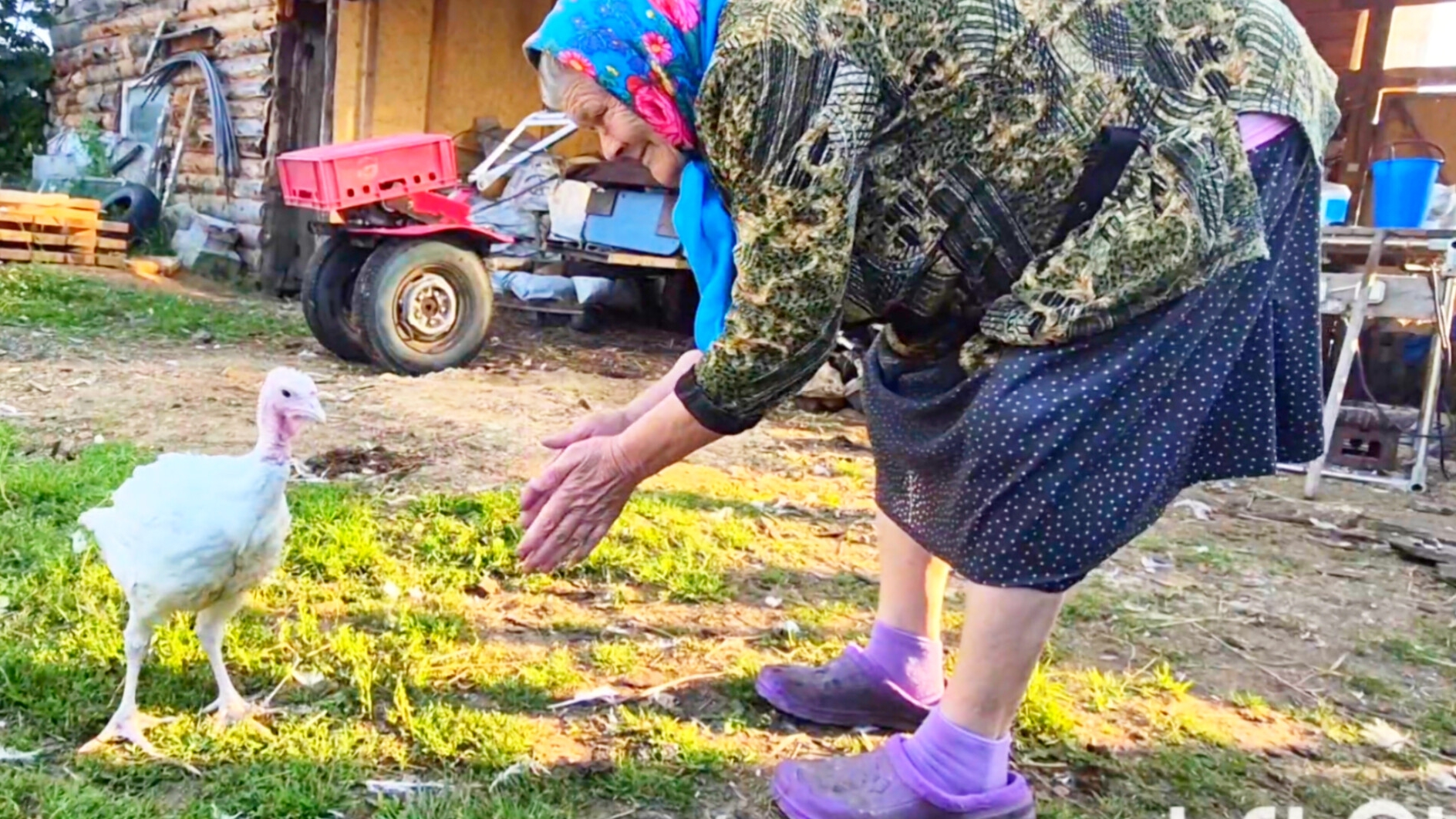 Деревня моя жизнь,что хотела то и получила,Алтай Сибирь смотреть онлайн