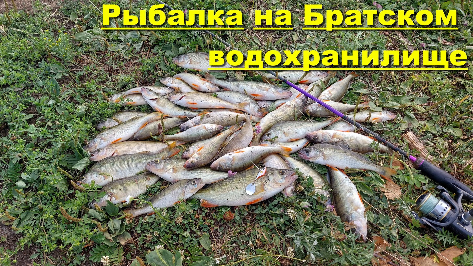 Рыбалка на Братском водохранилище смотреть онлайн
