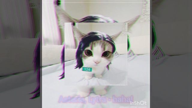 Asteria,lytra - Haha!