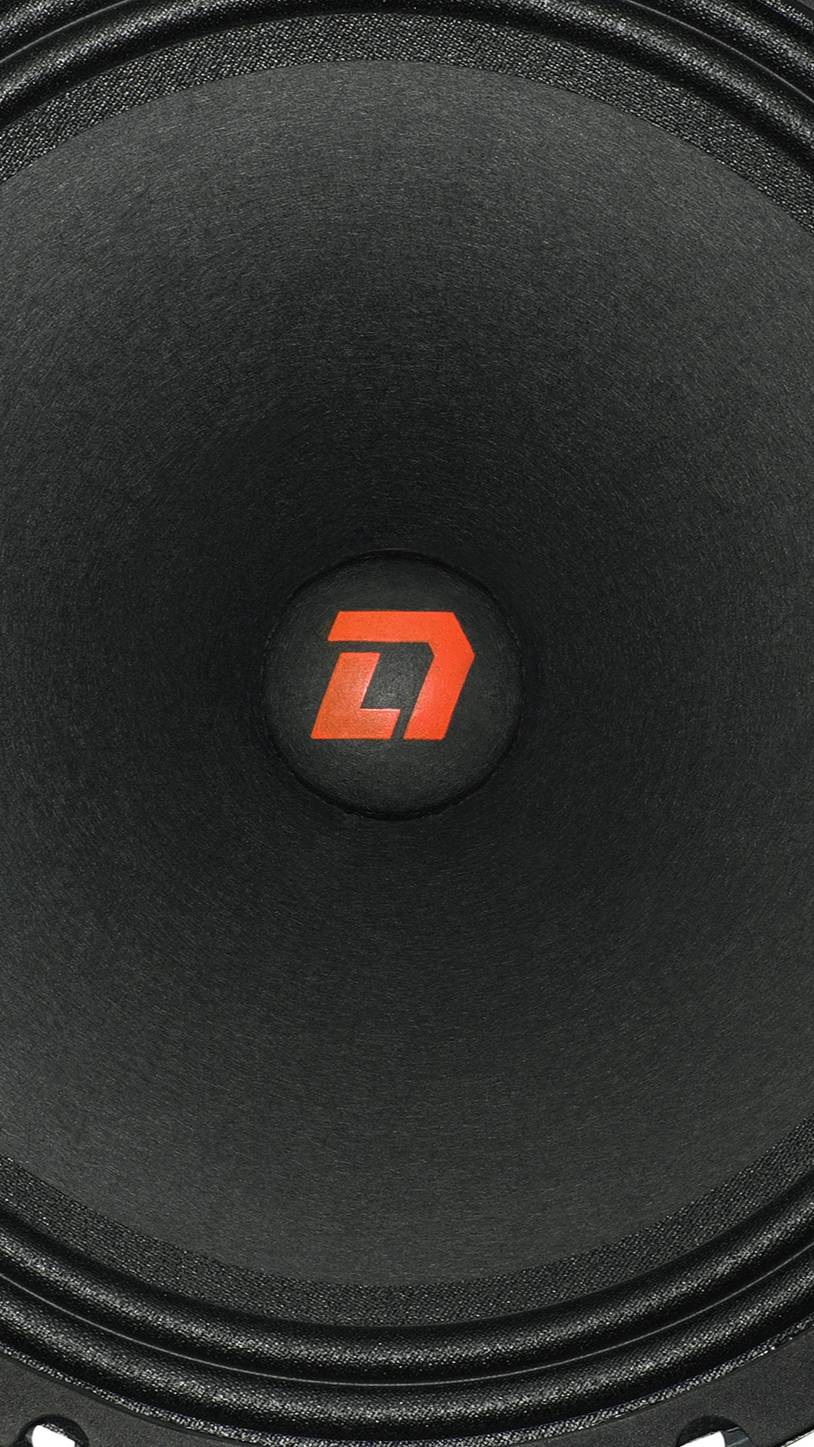 Обзор и прослушка динамиков DL Audio Raven 250 V2