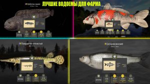 ЛУЧШИЕ ВОДОЕМЫ ДЛЯ ФАРМА В РУССКОЙ РЫБАЛКЕ 4 РР4