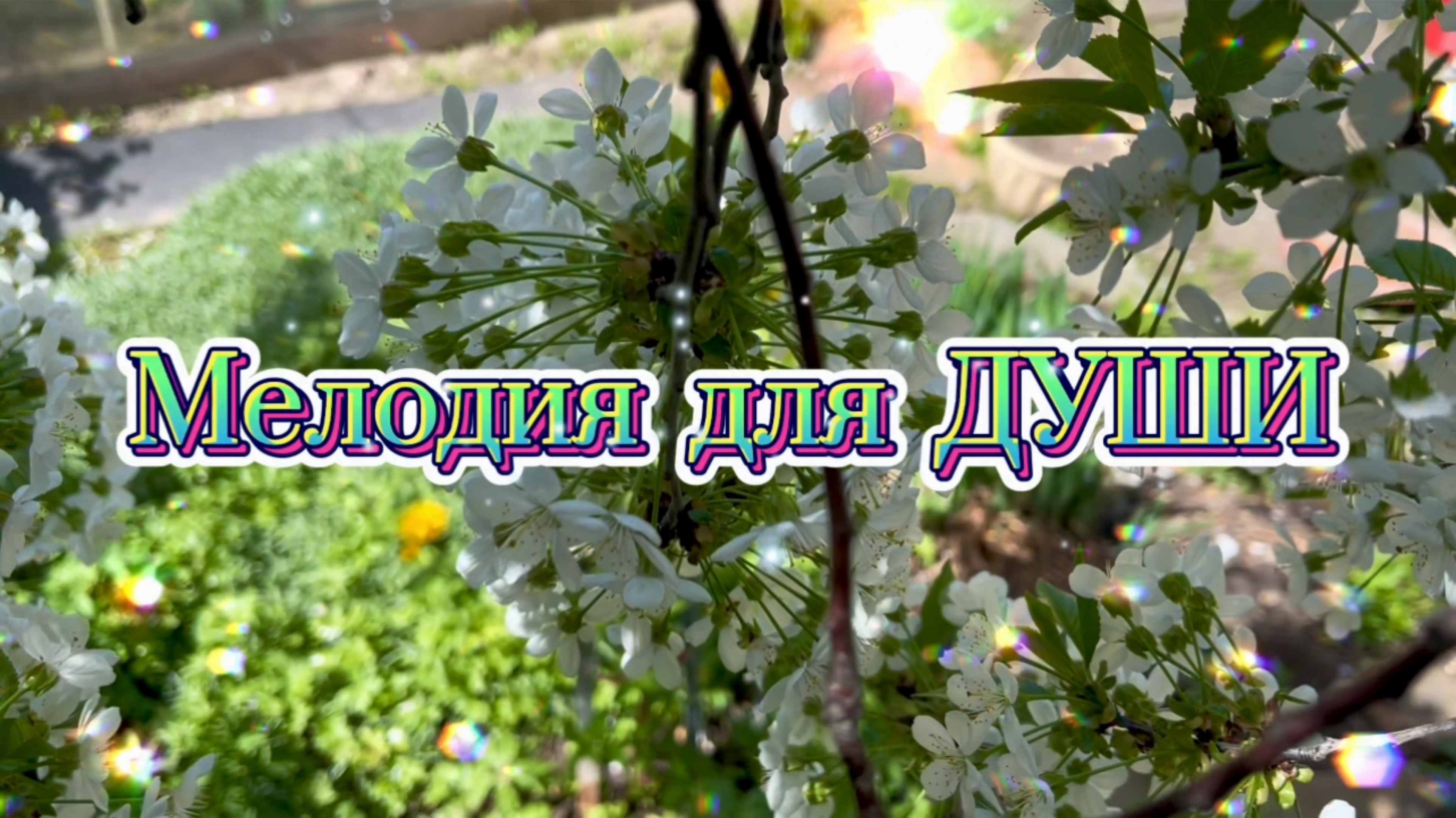 Музыка для души, весеннее настроение, мелодия для вашего отдыха