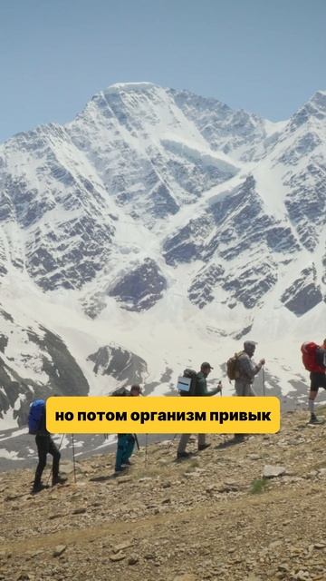 Восхождение на Эльбрус с юга — фильм-восхождение уже на канале #горы #эльбрус #путешествия