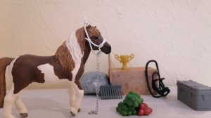 Плагиат?! Очередное скандальное видео?!