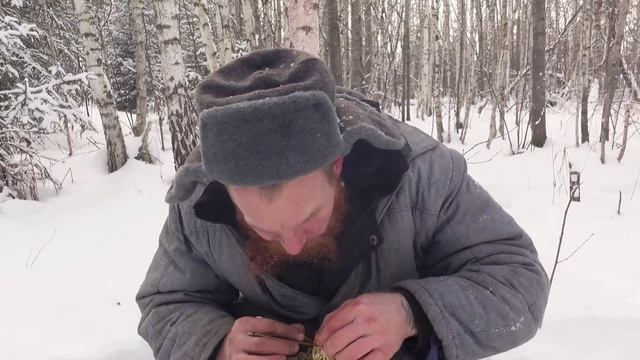 ЧЕТЫРЕ ДНЯ В ТАЙГЕ. ДОБЫТЬ ЕДЫ ЛЮБОЙ ЦЕНОЙ! смотреть онлайн