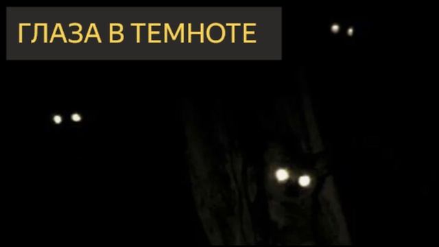 DenisovGames - КАНАЛ СТРАХА