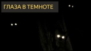 Глаза в темноте (Страшная история)