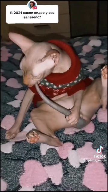 24-07-2025 смотреть онлайн