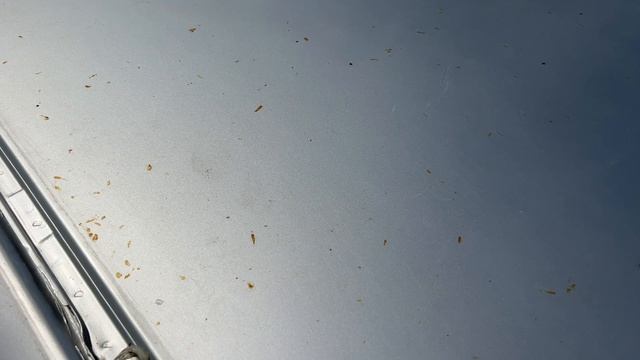 крыша 103 смотреть онлайн