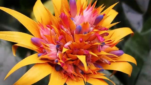 КОМЕДИЯ РОК Препятствие в Любви! смотреть онлайн