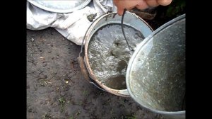 О подкормке клубники после сбора урожая