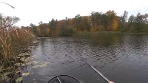 Рыбалка осенью