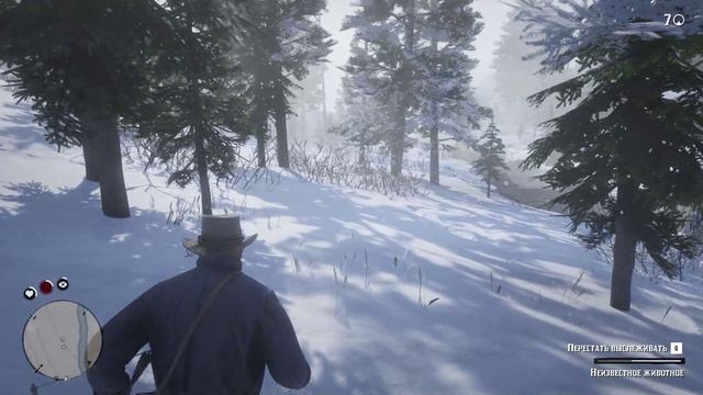 Red Dead Redemption 2