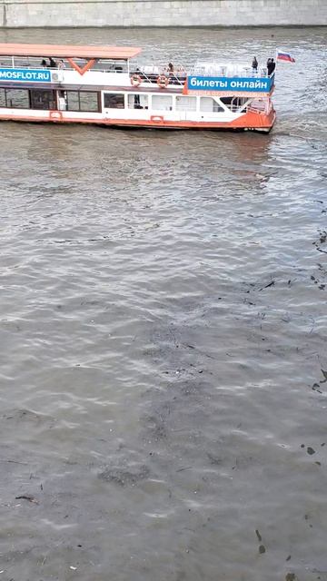 река Москва после дождя смотреть онлайн