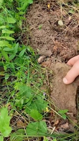 Кто знает что за топор?