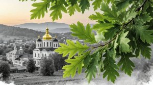 О чём расскажет старый дуб. Баллада