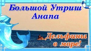 Анапа Большой Утриш Дельфины удивили