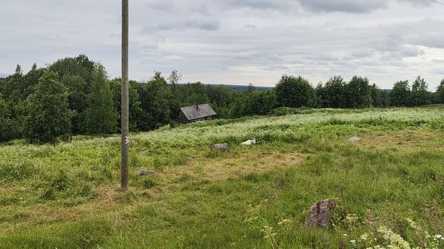 Навигатор не туда. Бараши алкаши