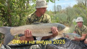Ловля амура на реке Дон 2025