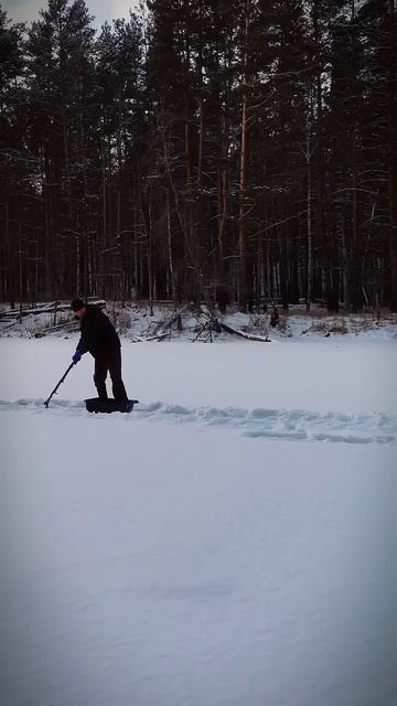 РЫБНАДЗОР #shorts смотреть онлайн