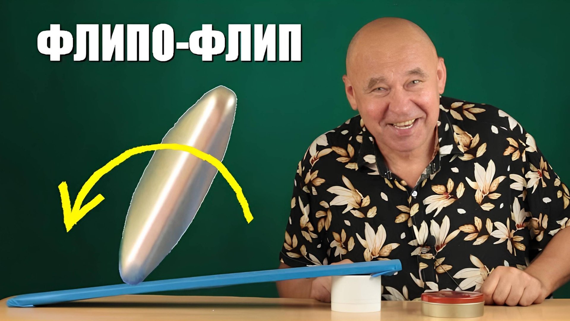 Флипо-флип смотреть онлайн