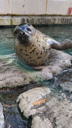 Приветик, что скучаем?😉
