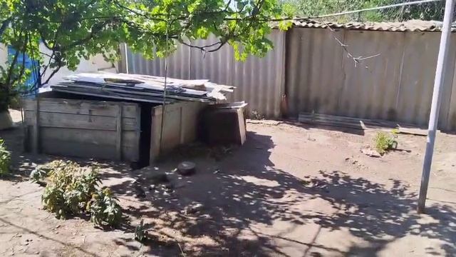 с. Софиевка смотреть онлайн