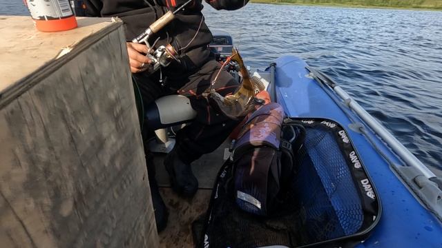 Забагрили окуня