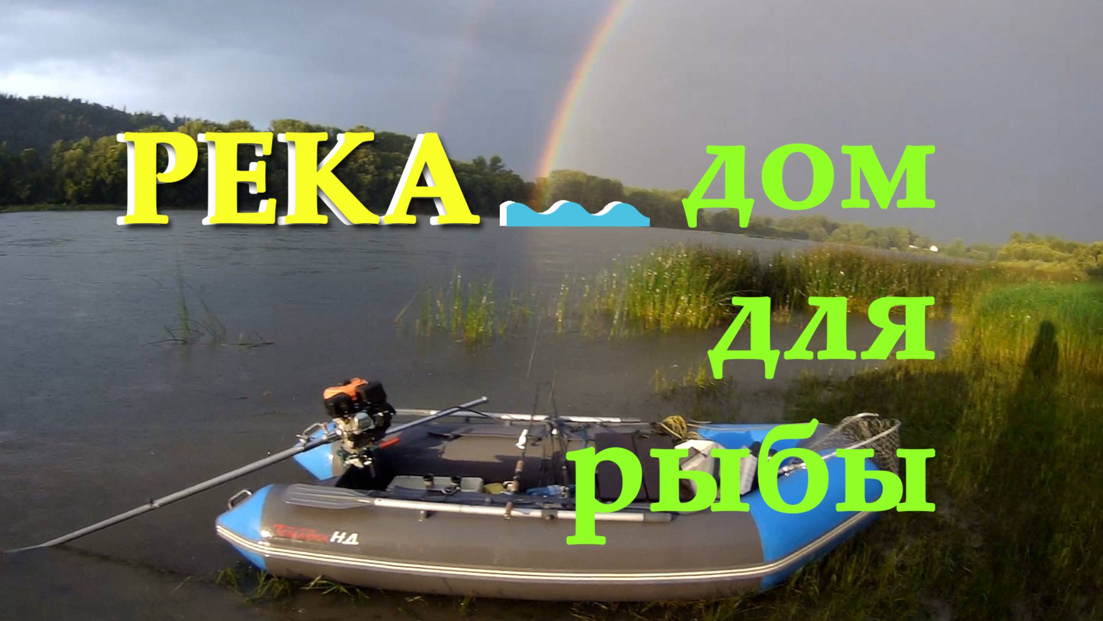 Вода живая или где дом для рыбы