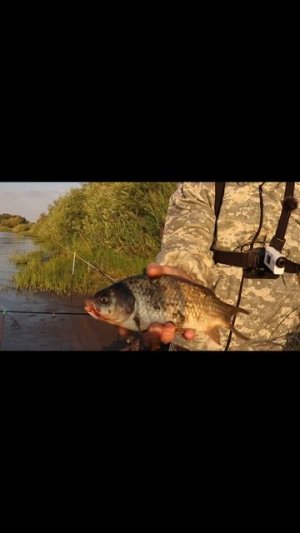 Река Ахтуба. Волжский.