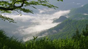 ☀️ Красивые летние сцены