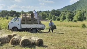 ДОБЫЧА СЕНА