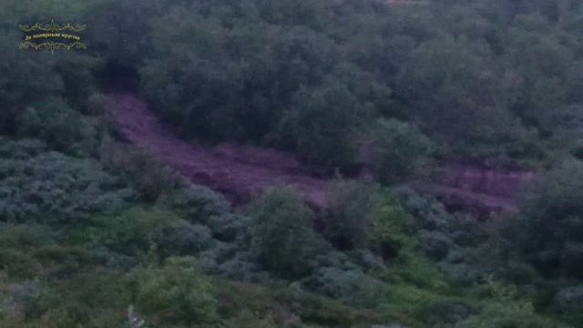 Воркута. 23.07.25. Экотропа смотреть онлайн