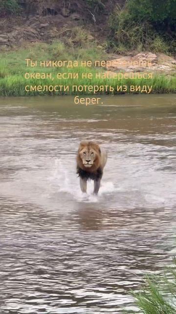 Правда смотреть онлайн