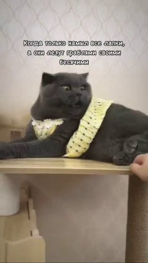 Не надо меня трогать