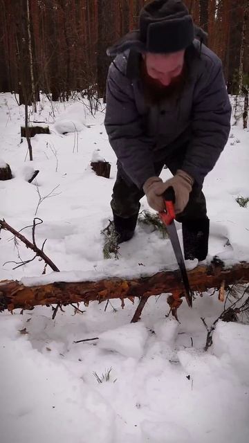 Утренняя зарядка #shorts #юмор #прикол смотреть онлайн