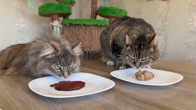 дегустация стран. анука давай-ка смотреть онлайн