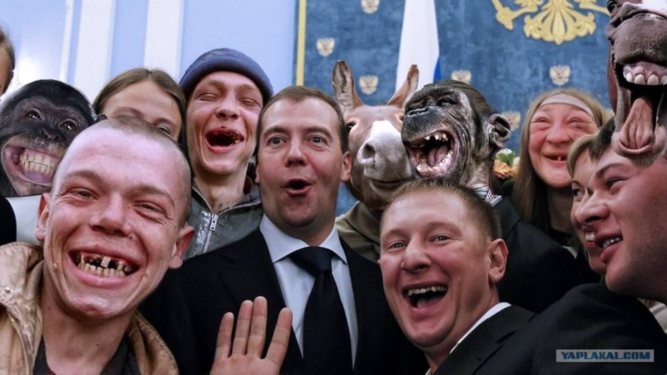 новые законы рф