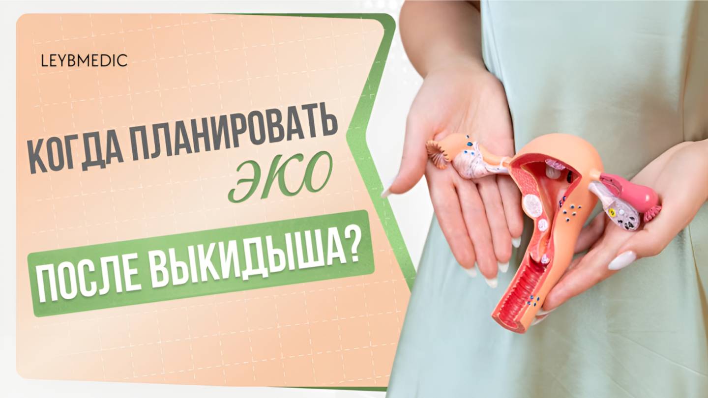 ❓❓ ЭКО после выкидыша: когда можно пробовать снова и что нужно сделать смотреть онлайн