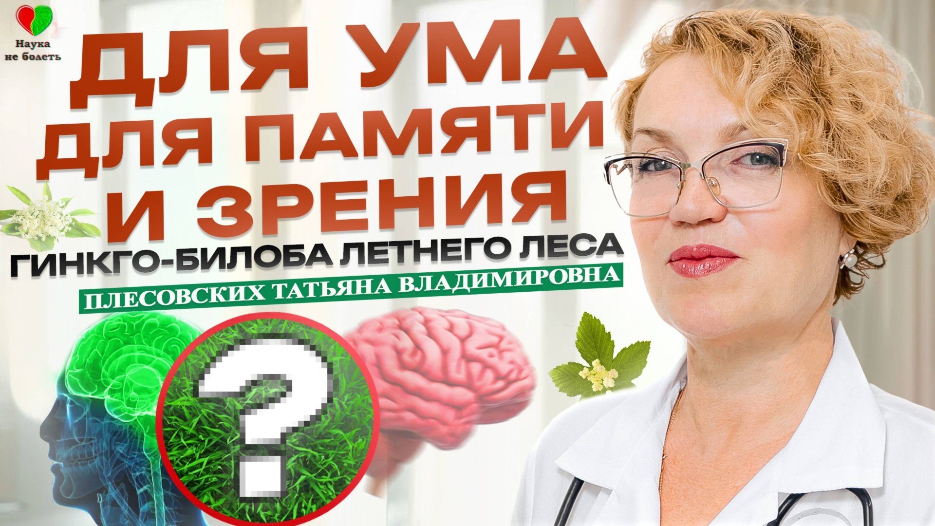 ТРАВА для УМА для ПАМЯТИ и ЗРЕНИЯ! -||- ЛУЧШАЯ ТРАВА для МОЗГА -||- для МОЗГОВОГО КРОВООБРАЩЕНИЯ смотреть онлайн