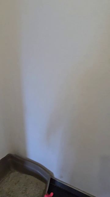 студенческий проезд 9