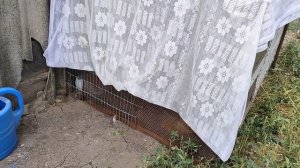 Заготовки. Новая семейка. Жизнь на пенсии.