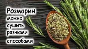 Как сушить розмарин
