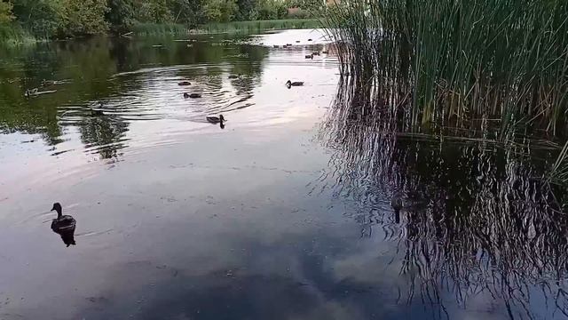 Озеро Шишига Самара 2022 год